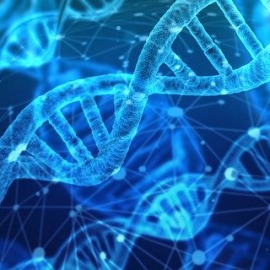 dna-3539309_640-42da93f6b366b06195e881b4becda7cc.jpg